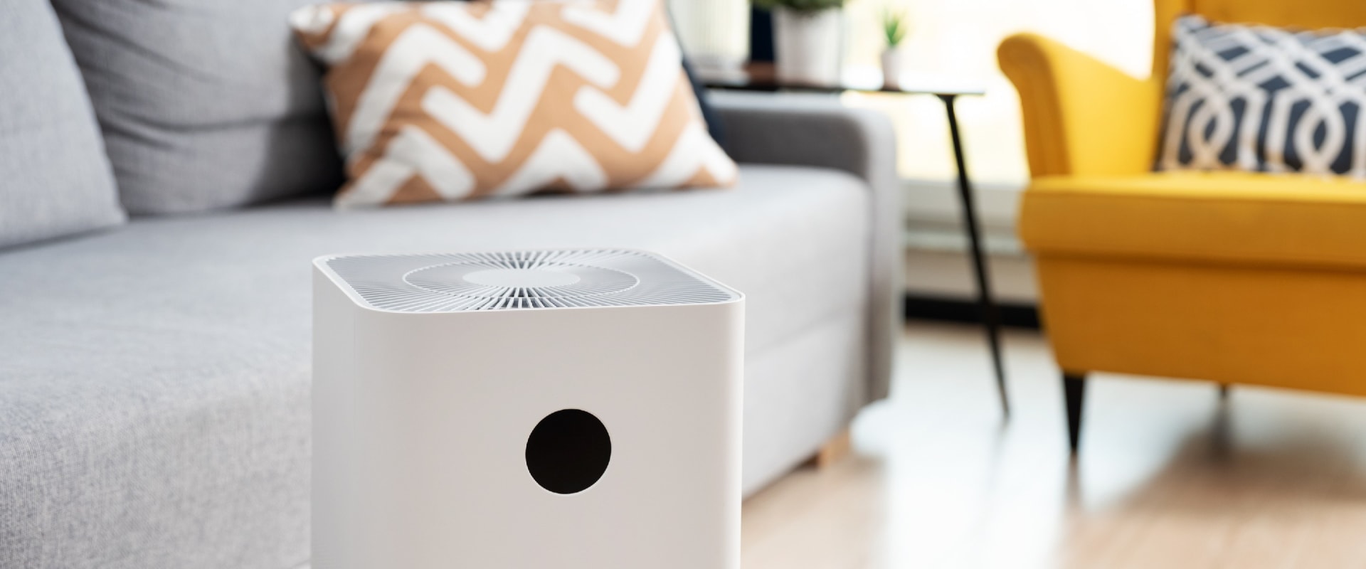 Do Air Purifiers Really Remove Ozone? An Expert's Perspective