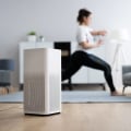 Do Air Purifiers and Ionizers Serve the Same Purpose?