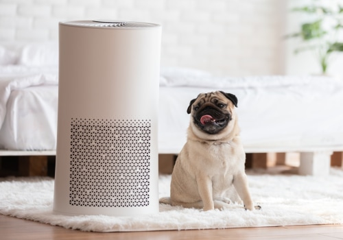 Can an Air Ionizer Improve Indoor Air Quality in Miami Beach, FL?